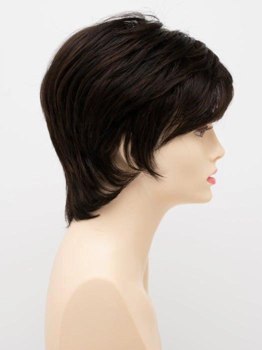 Accessories_Envy_Wigs Elle | Synthetic Wig (Basic Cap)