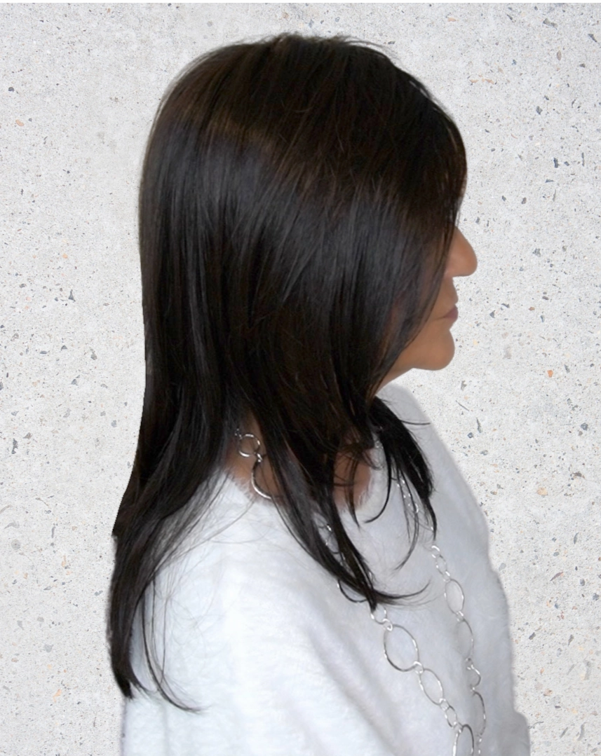 Accessories_Envy_Wigs En Vogue Wig by Ellen Wille | Heat Friendly Synthetic Hair | Petite/Average Cap