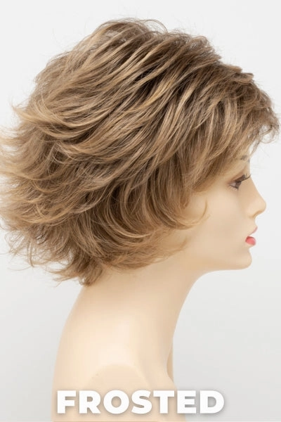 Accessories_Envy_Wigs Envy Wigs - Alyssa Petite
