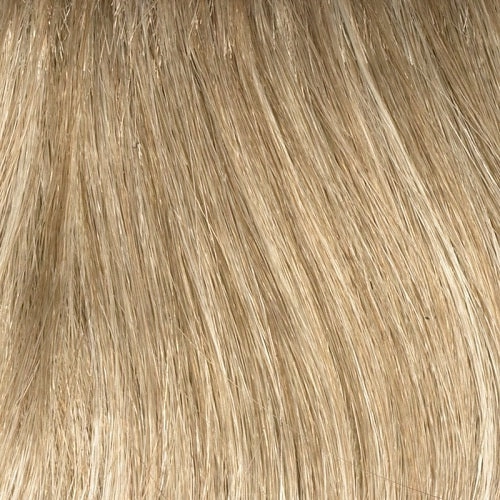Accessories_Envy_Wigs Gigi Envy Wigs