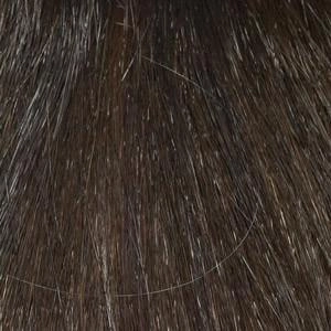 Accessories_Envy_Wigs Harmony Wig by Envy | Synthetic (Lace Front Mono Part)