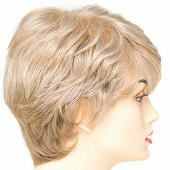 Accessories_Envy_Wigs Heather