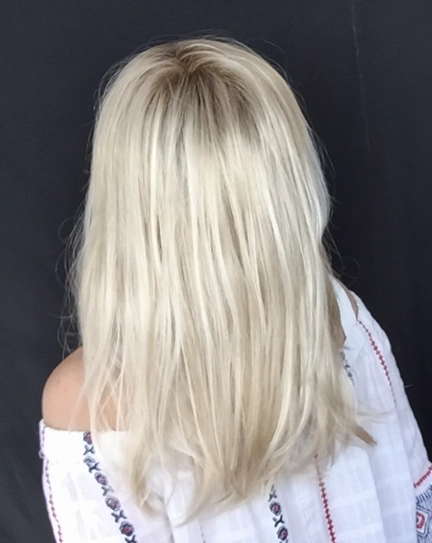 Accessories_Envy_Wigs Impress Wig by Ellen Wille | Synthetic Hair | Petite/Average Cap
