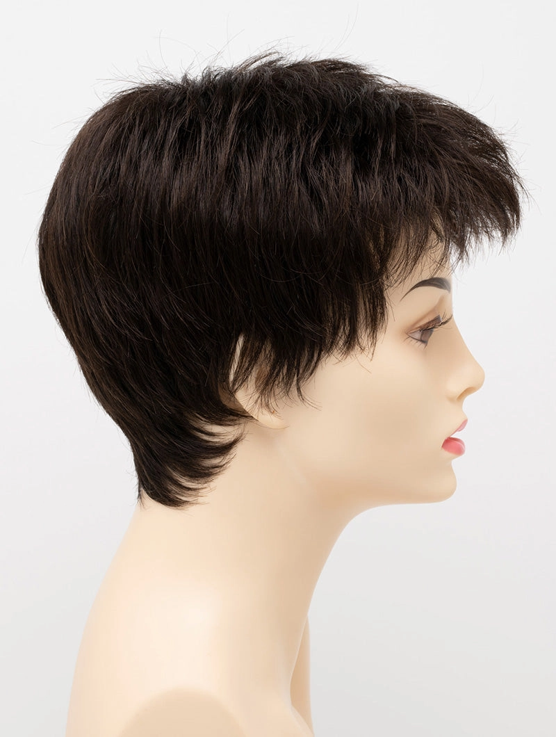 Accessories_Envy_Wigs Ivy