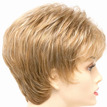 Accessories_Envy_Wigs Jacqueline