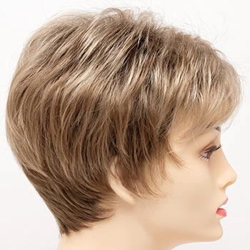 Accessories_Envy_Wigs Jacqueline Petite