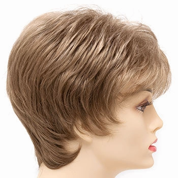 Accessories_Envy_Wigs Jacqueline Petite