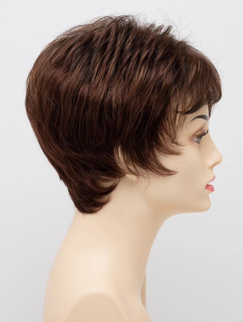 Accessories_Envy_Wigs Jacqueline Petite