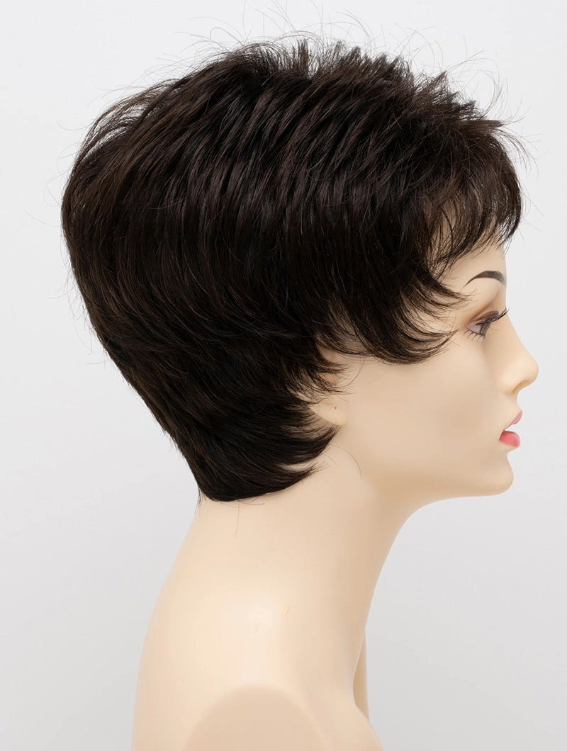 Accessories_Envy_Wigs Jacqueline Petite