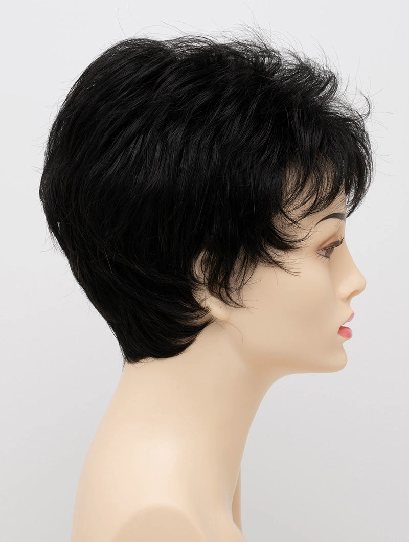 Accessories_Envy_Wigs Jacqueline Petite