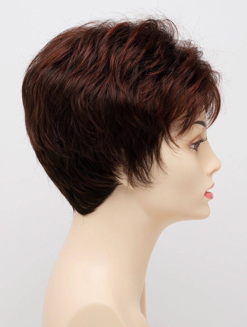 Accessories_Envy_Wigs Jacqueline Petite