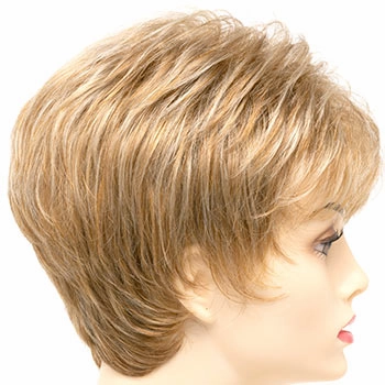 Accessories_Envy_Wigs Jacqueline Petite