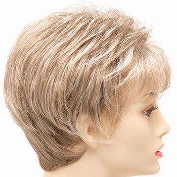 Accessories_Envy_Wigs Jacqueline Petite