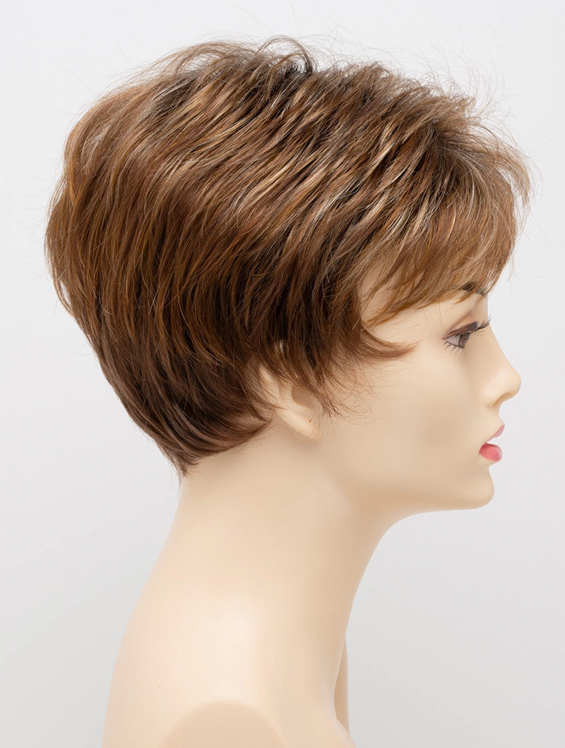 Accessories_Envy_Wigs Jacqueline Petite