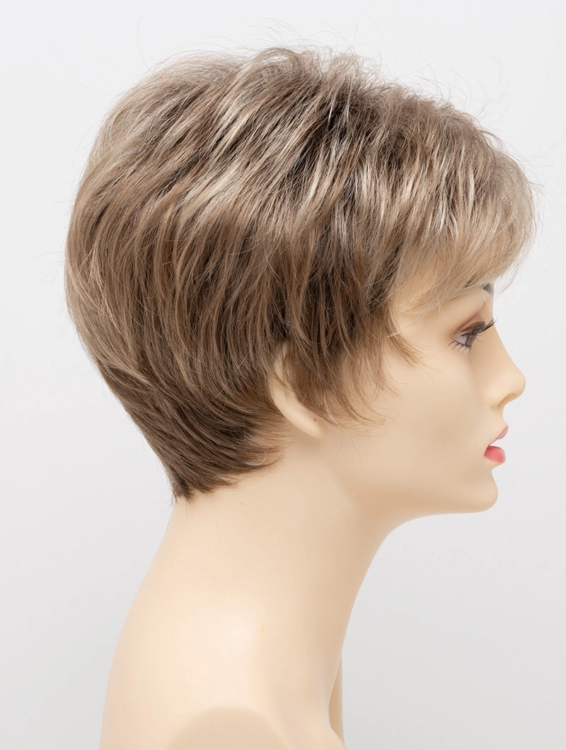Accessories_Envy_Wigs Jacqueline