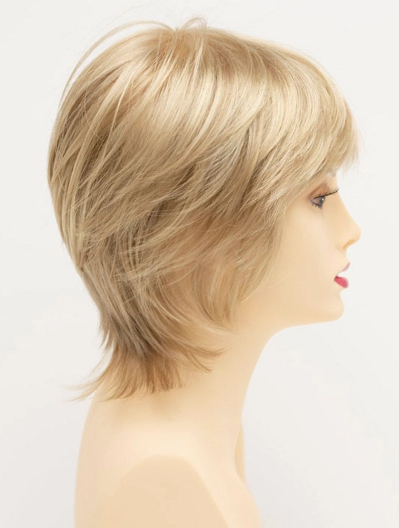 Accessories_Envy_Wigs Jane Envy Wigs