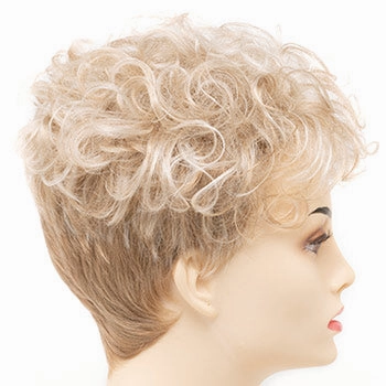 Accessories_Envy_Wigs Kaitlyn