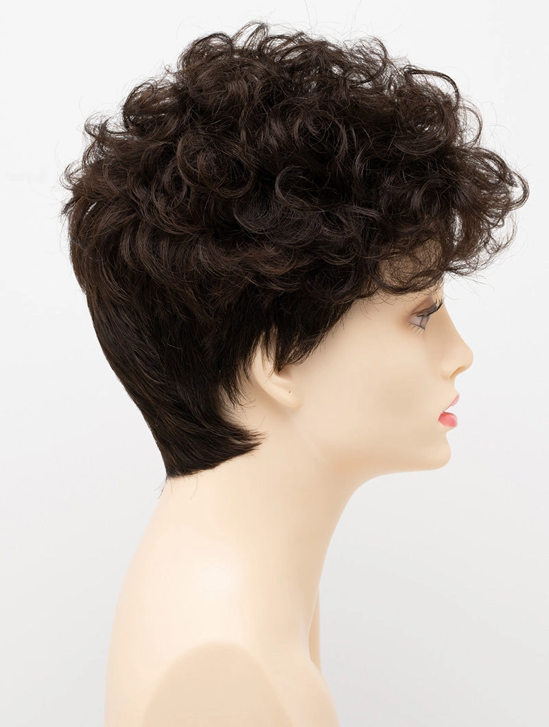 Accessories_Envy_Wigs Kaitlyn