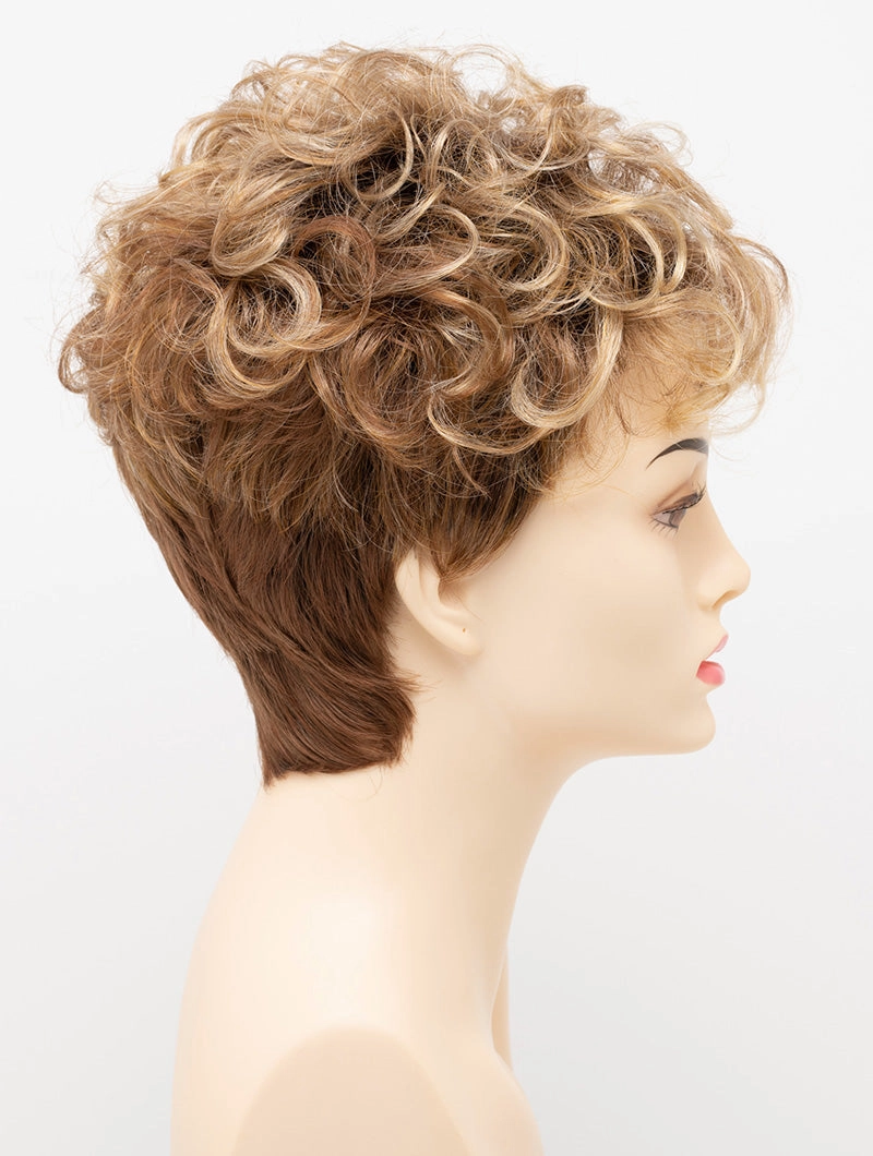 Accessories_Envy_Wigs Kaitlyn