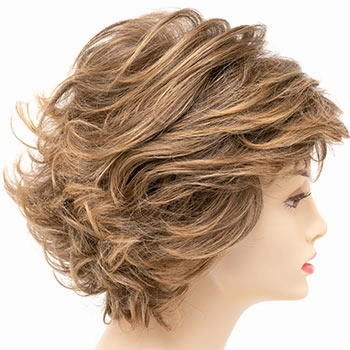 Accessories_Envy_Wigs Kylie