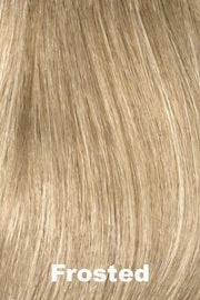 Accessories_Envy_Wigs LAYERED TOPPER BY ENVY