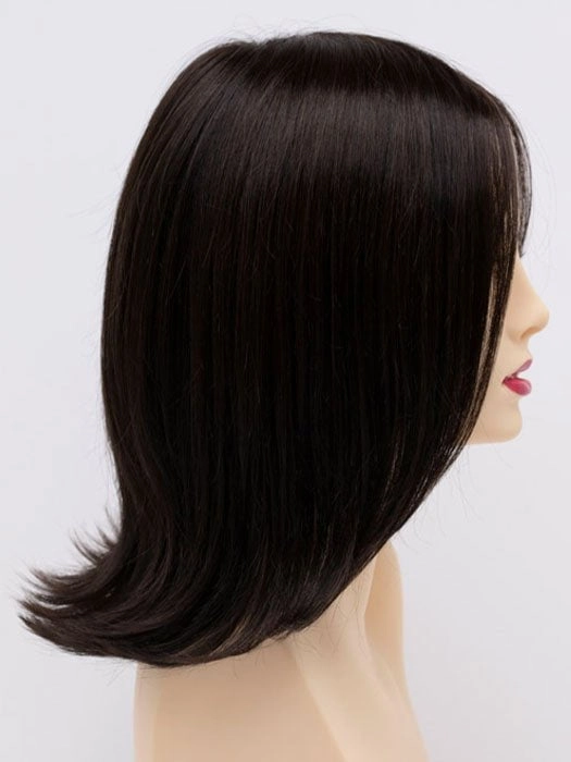 Accessories_Envy_Wigs Lisa | Human Hair/Synthetic Hair Blend Lace Front Wig (Mono Top)