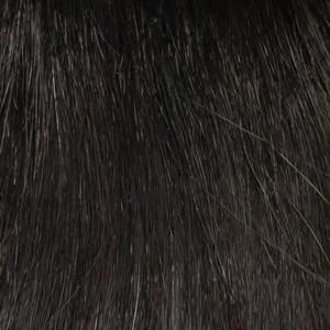 Accessories_Envy_Wigs Lynsey Wig by Envy | Heat Friendly/Human Hair Blend  (Mono Top)