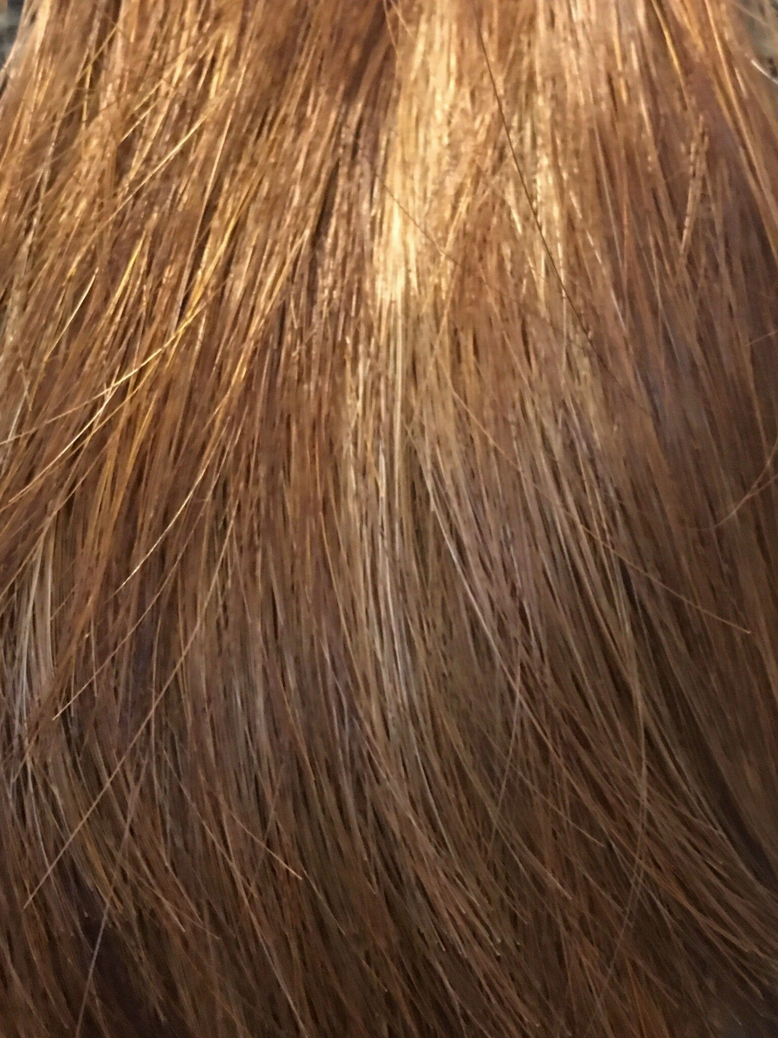 Accessories_Envy_Wigs Making Waves Topper by Envy