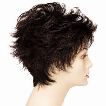 Accessories_Envy_Wigs Olivia