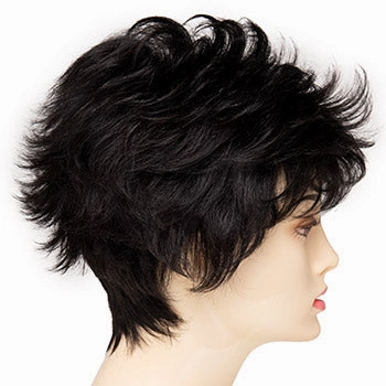 Accessories_Envy_Wigs Olivia