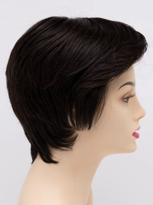 Accessories_Envy_Wigs Paula | Human Hair/Synthetic Hair Blend Lace Front Wig (Mono Top)