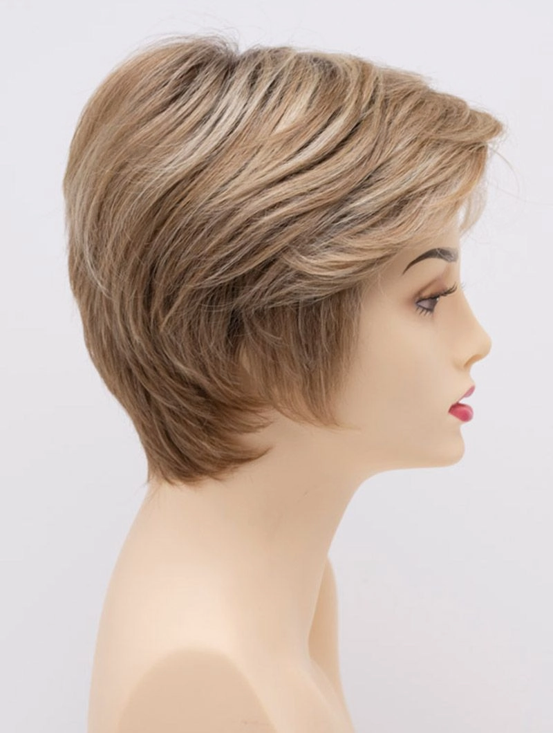 Accessories_Envy_Wigs Paula Envy Wigs