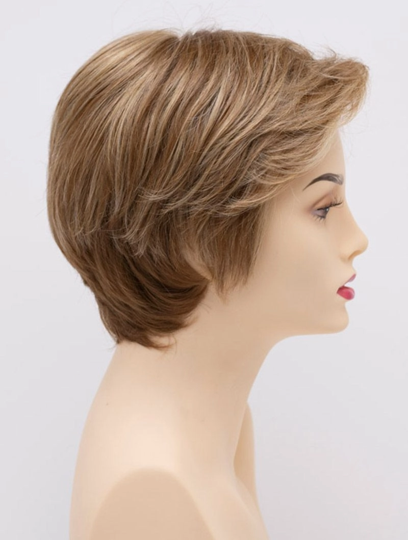 Accessories_Envy_Wigs Paula Envy Wigs