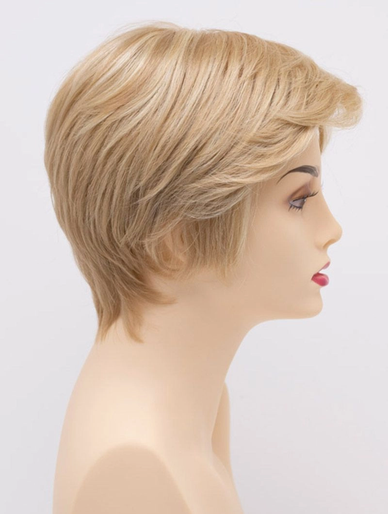 Accessories_Envy_Wigs Paula Envy Wigs