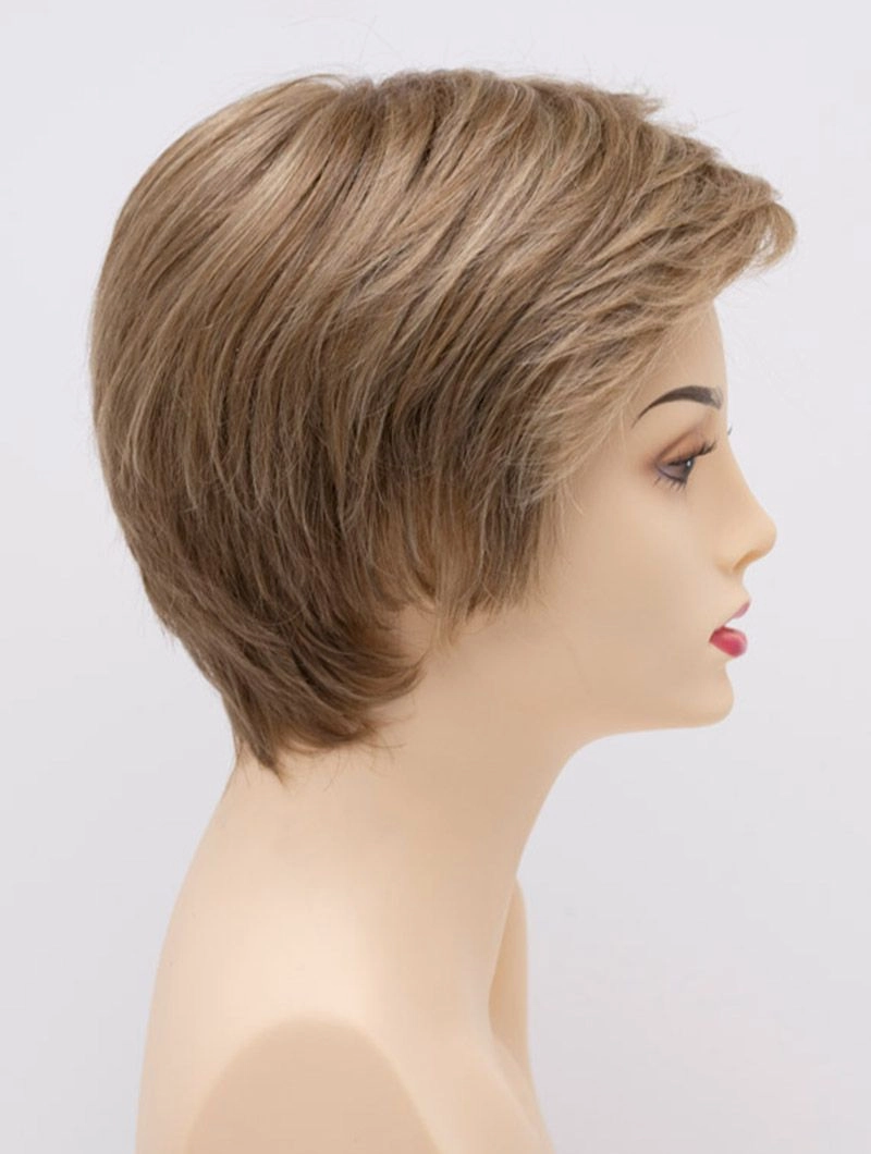 Accessories_Envy_Wigs Paula Envy Wigs