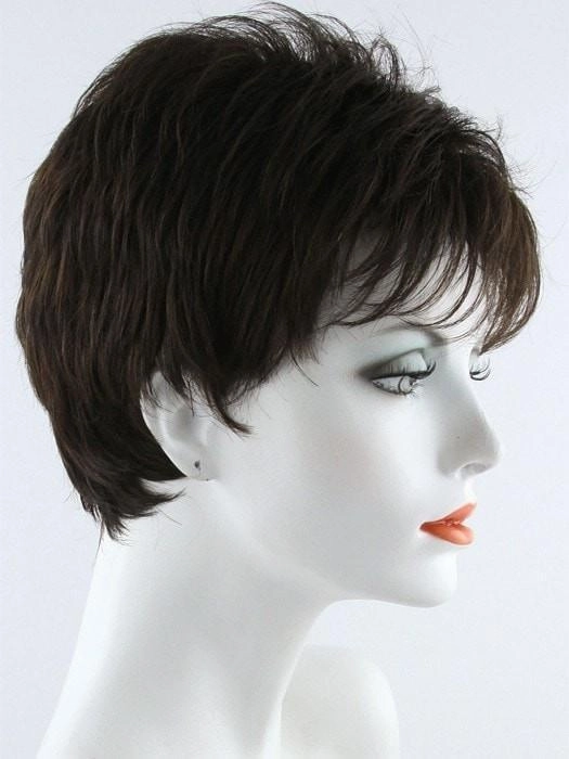 Accessories_Envy_Wigs Penelope | Synthetic Wig (Basic Cap)