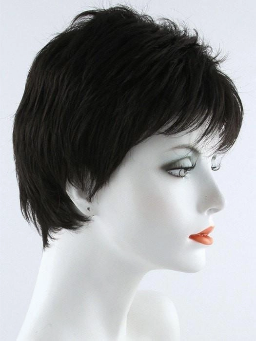 Accessories_Envy_Wigs Penelope | Synthetic Wig (Basic Cap)