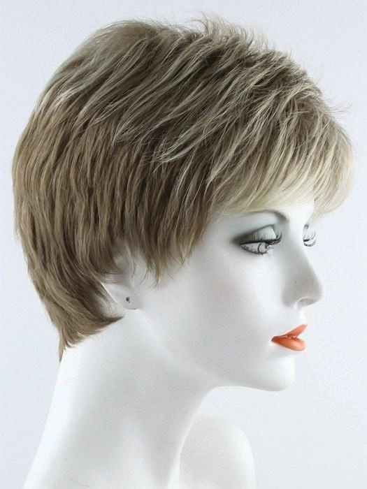 Accessories_Envy_Wigs Penelope | Synthetic Wig (Basic Cap)