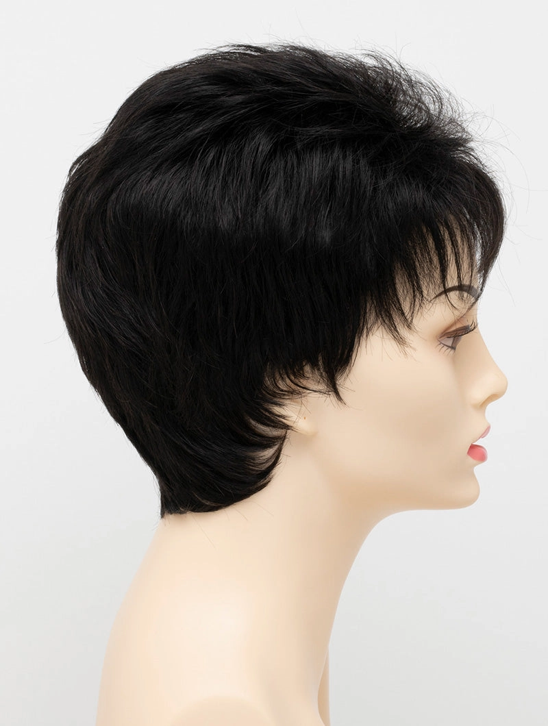 Accessories_Envy_Wigs Petite Penelope Envy Wigs