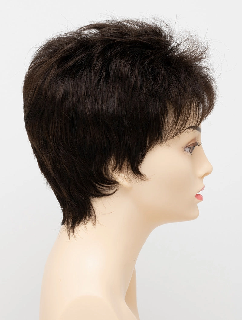 Accessories_Envy_Wigs Petite Penelope Envy Wigs