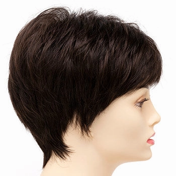 Accessories_Envy_Wigs Petite Tiffany