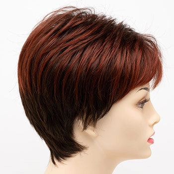 Accessories_Envy_Wigs Petite Tiffany