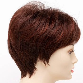 Accessories_Envy_Wigs Petite Tiffany