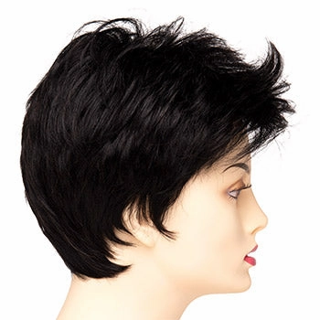 Accessories_Envy_Wigs Raven