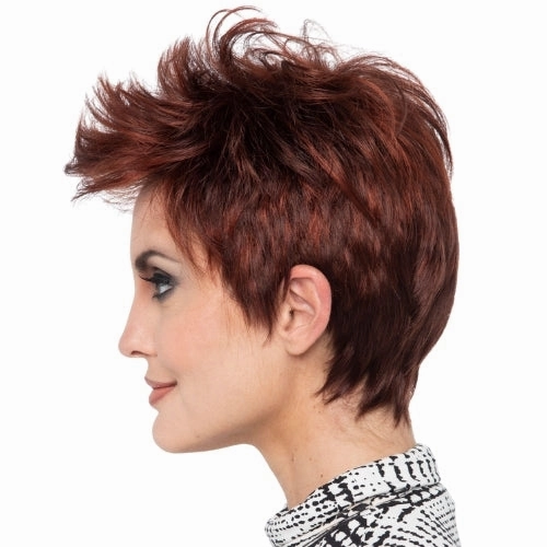 Accessories_Envy_Wigs Raven Envy Wigs