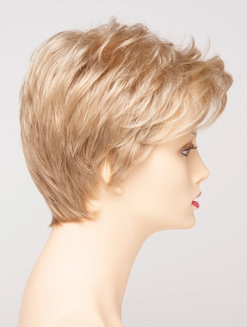 Accessories_Envy_Wigs Raven Envy Wigs