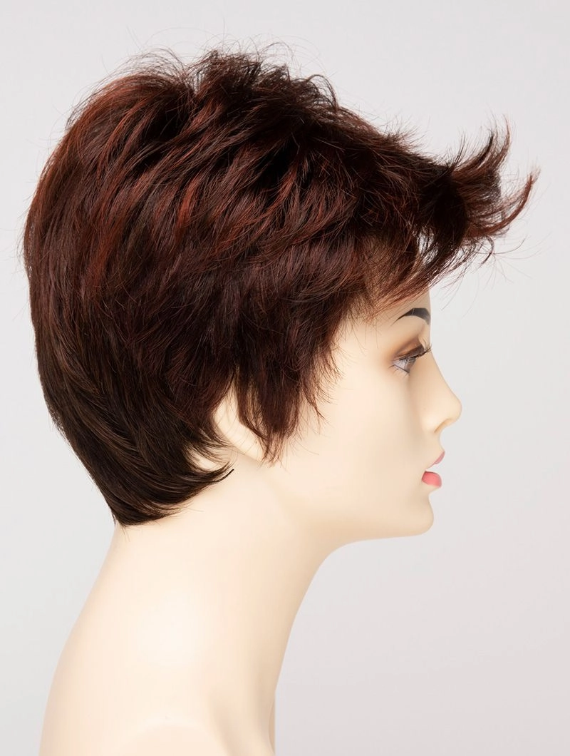 Accessories_Envy_Wigs Raven Envy Wigs