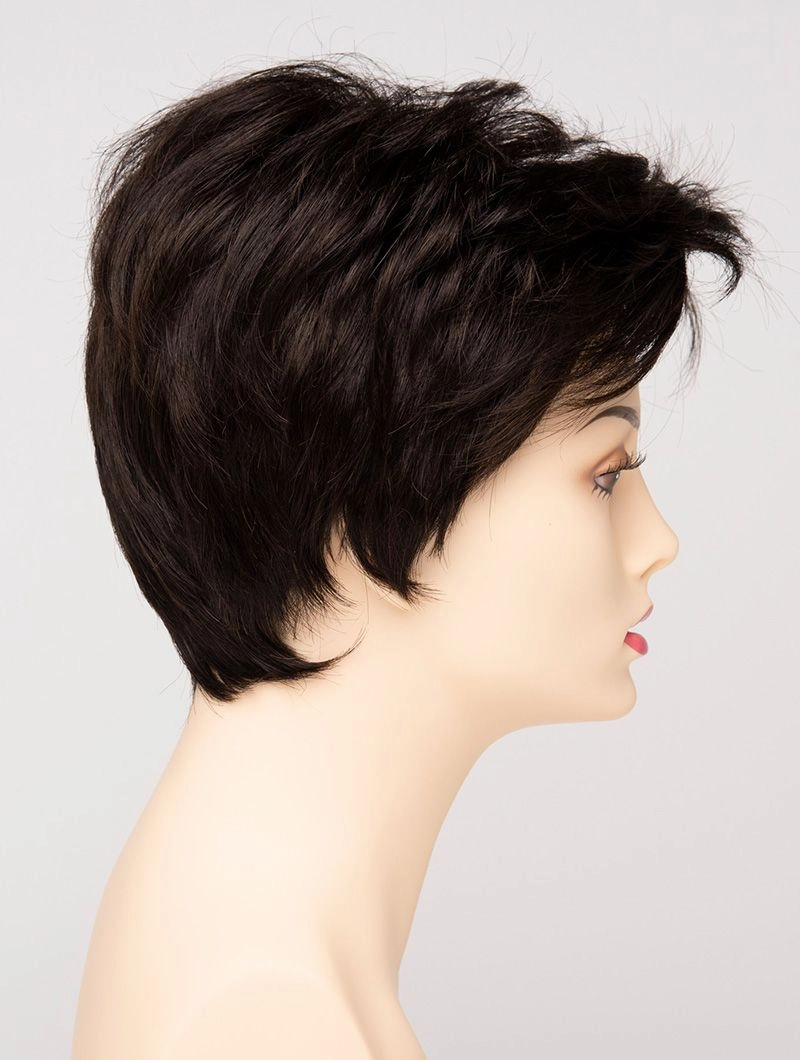 Accessories_Envy_Wigs Raven Envy Wigs