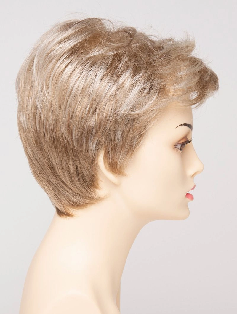 Accessories_Envy_Wigs Raven Envy Wigs