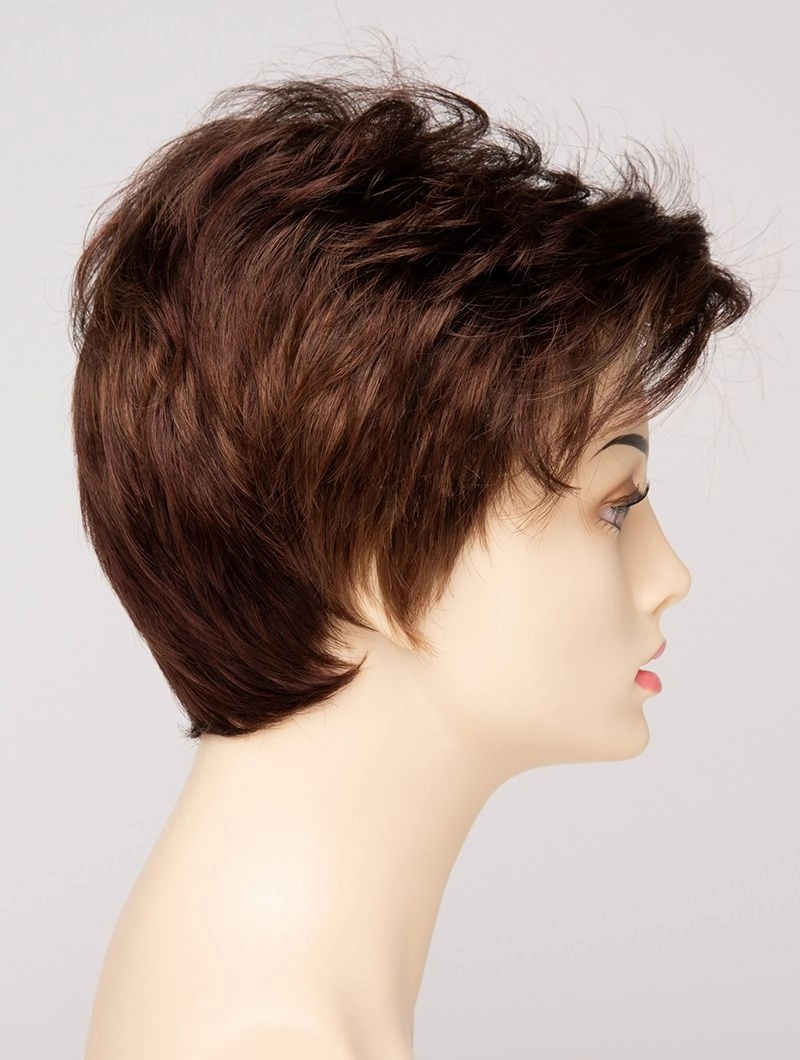 Accessories_Envy_Wigs Raven Envy Wigs